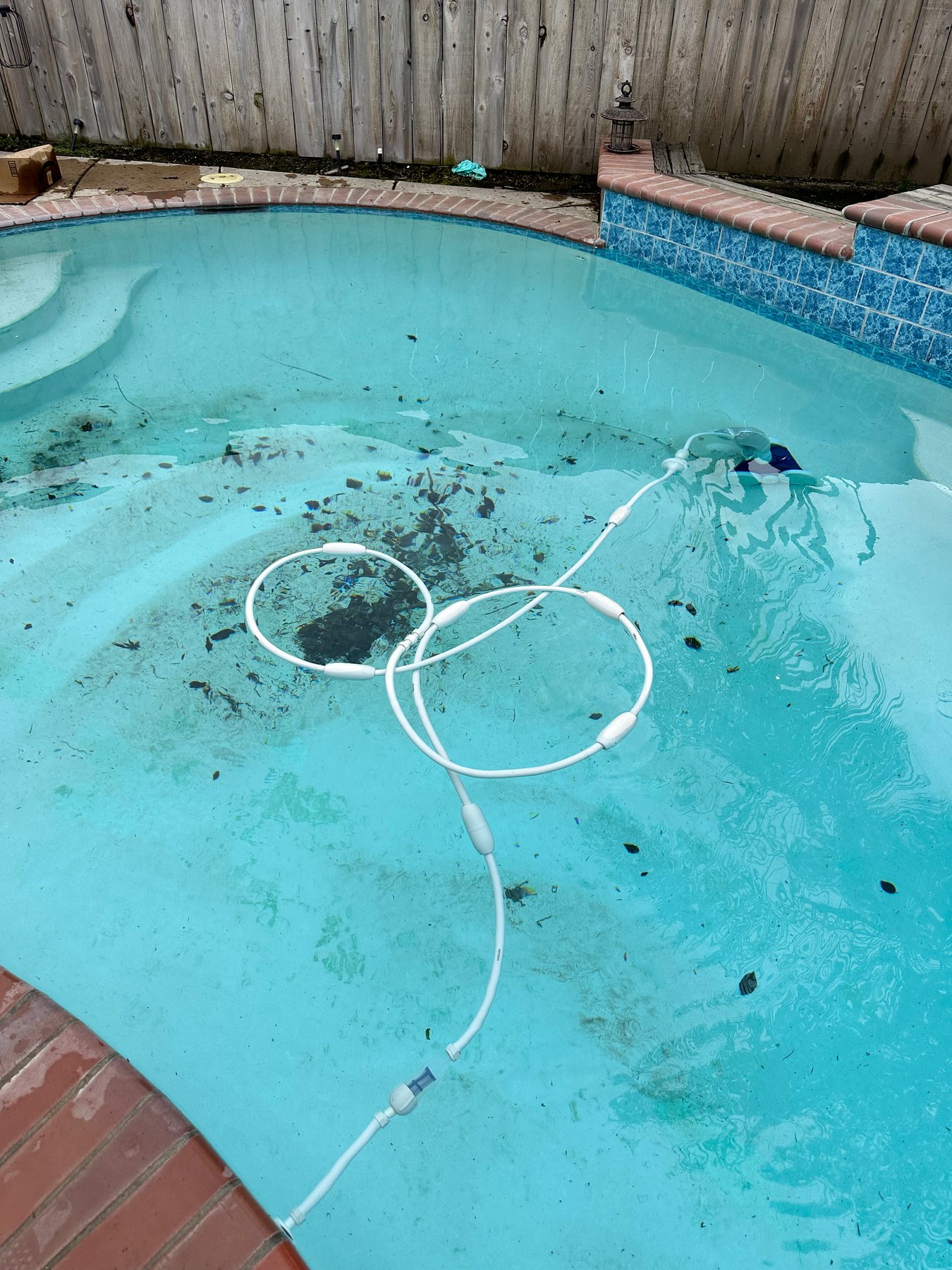 Pool vacuum hose near a heavy leaf and debris load