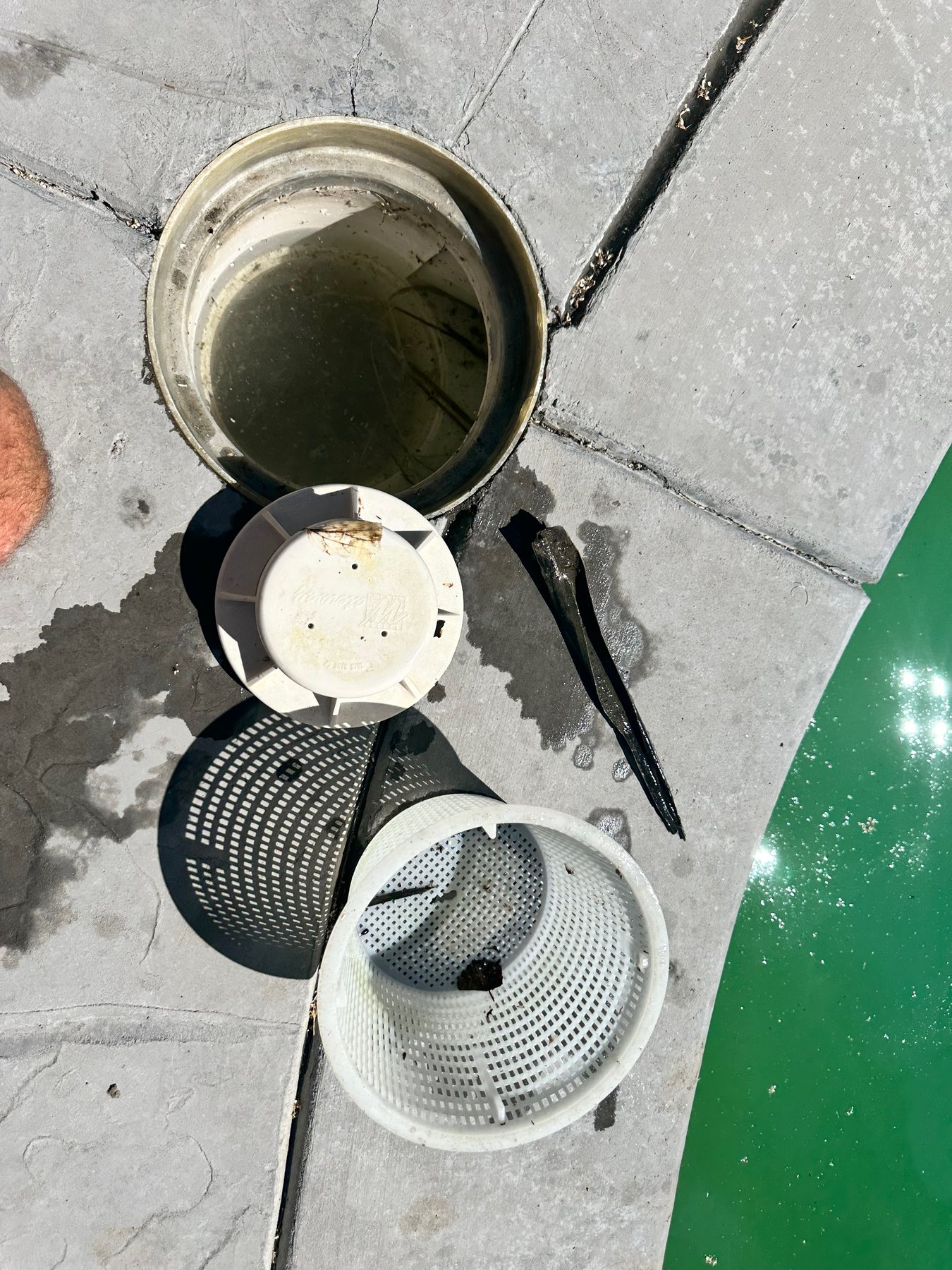 Pool skimmer baskets and vacuum plate removed for inspection