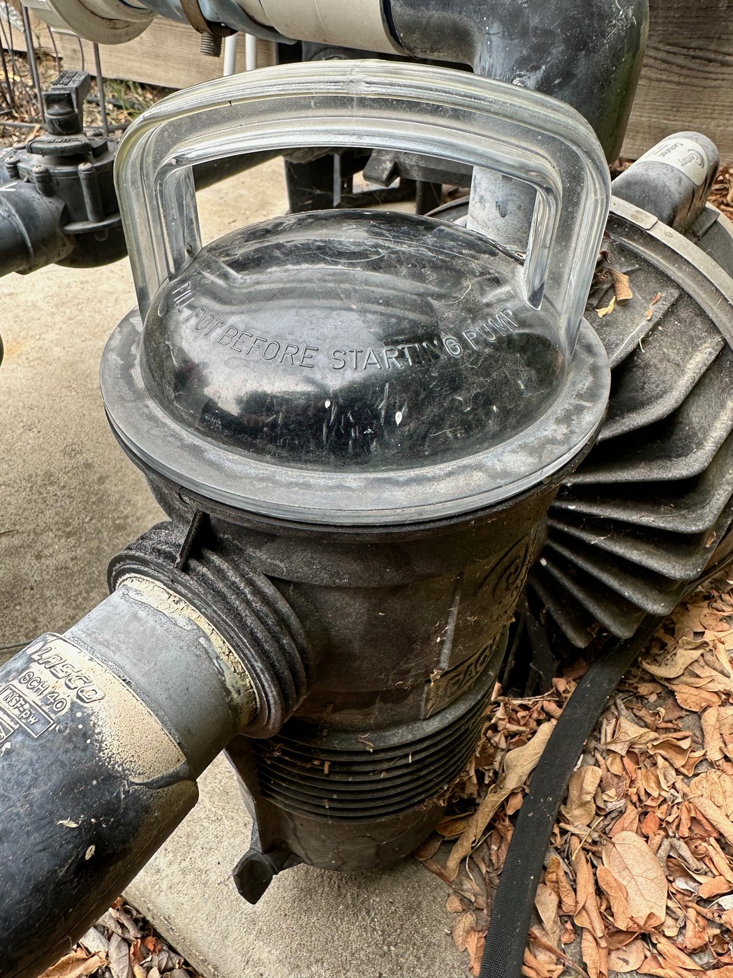Original pool pump lid and strainer housing before checking circulation