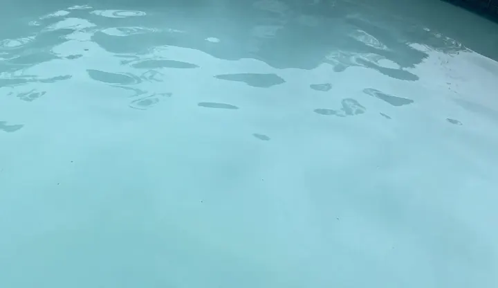 Cloudy pool water with reduced visibility in a backyard swimming pool